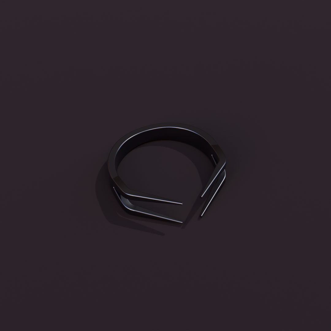 s2 ring